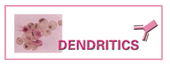 Dendritics