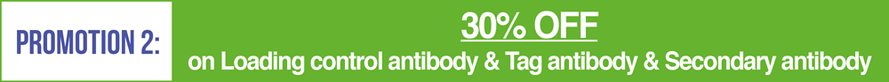 on Loading control antibody & Tag antibody & Secondary antibody