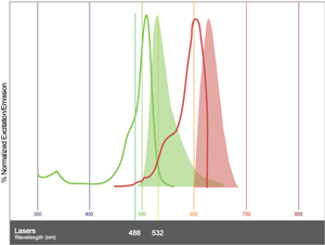 Spectra Flow Cytometry