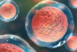 Cellule staminali pluripotenti, la nuova frontiera della ricerca