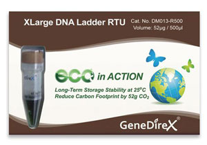 XLarge DNA Ladder RTU (Ready-to-Use)